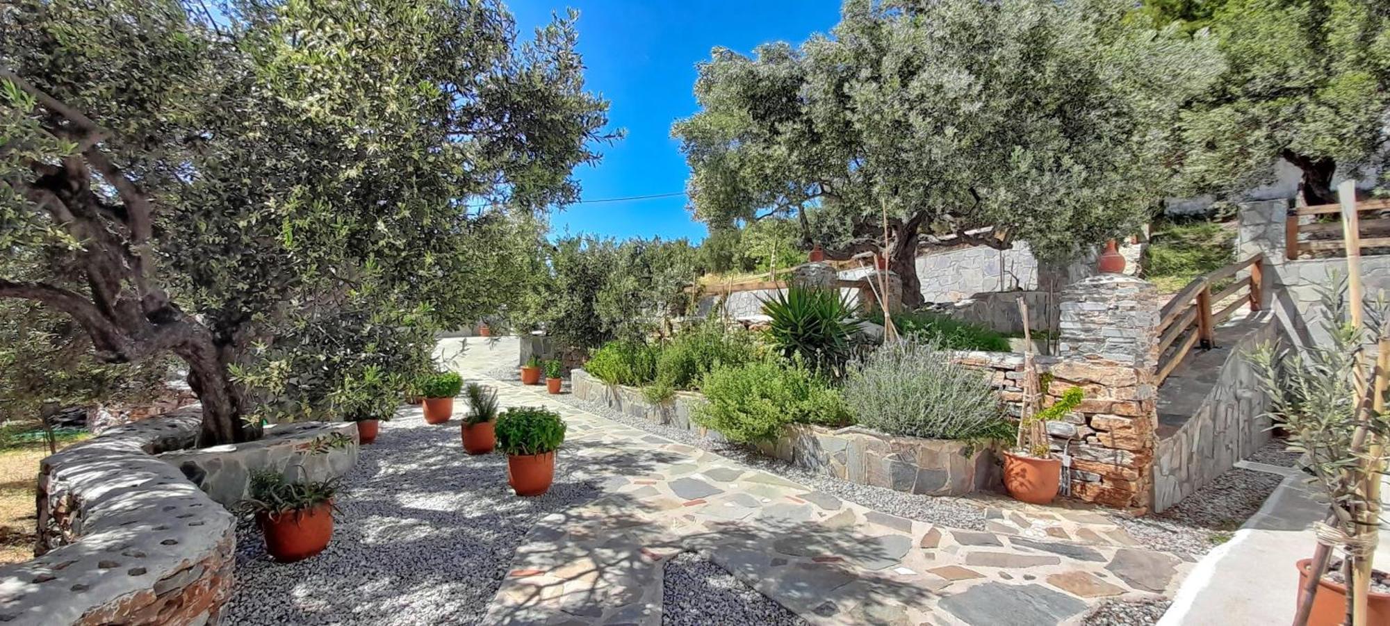 Aspra Chomata Villas Karystos  Esterno foto