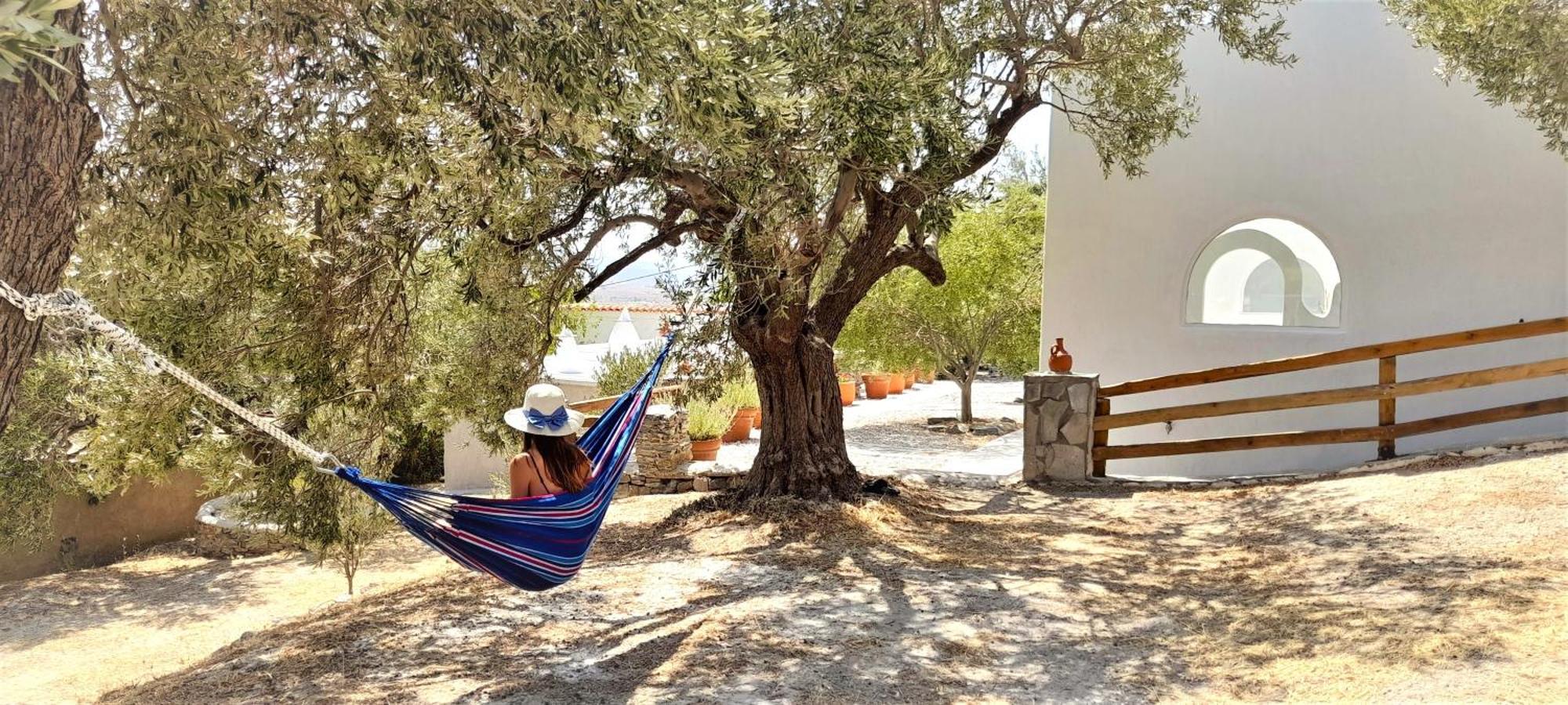 Aspra Chomata Villas Karystos  Esterno foto