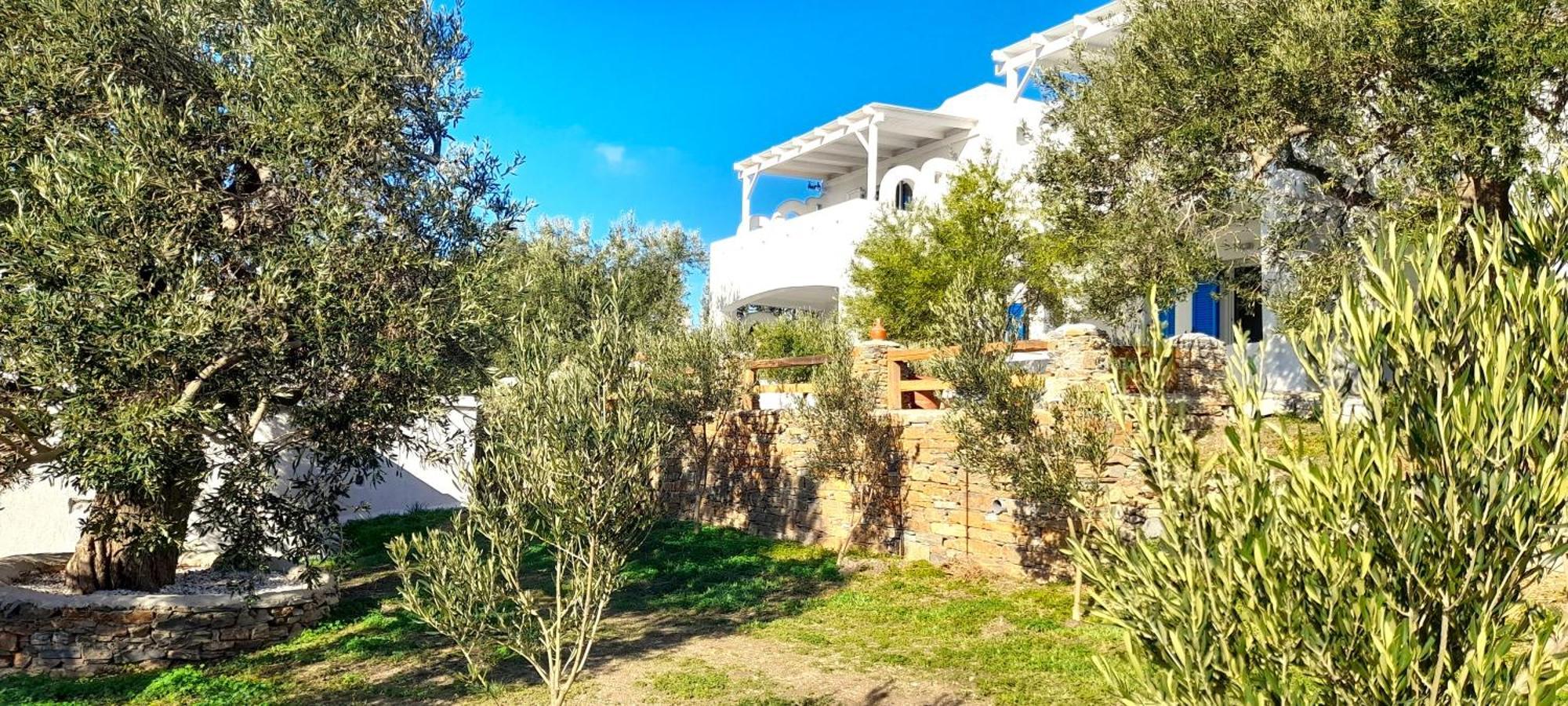 Aspra Chomata Villas Karystos  Esterno foto