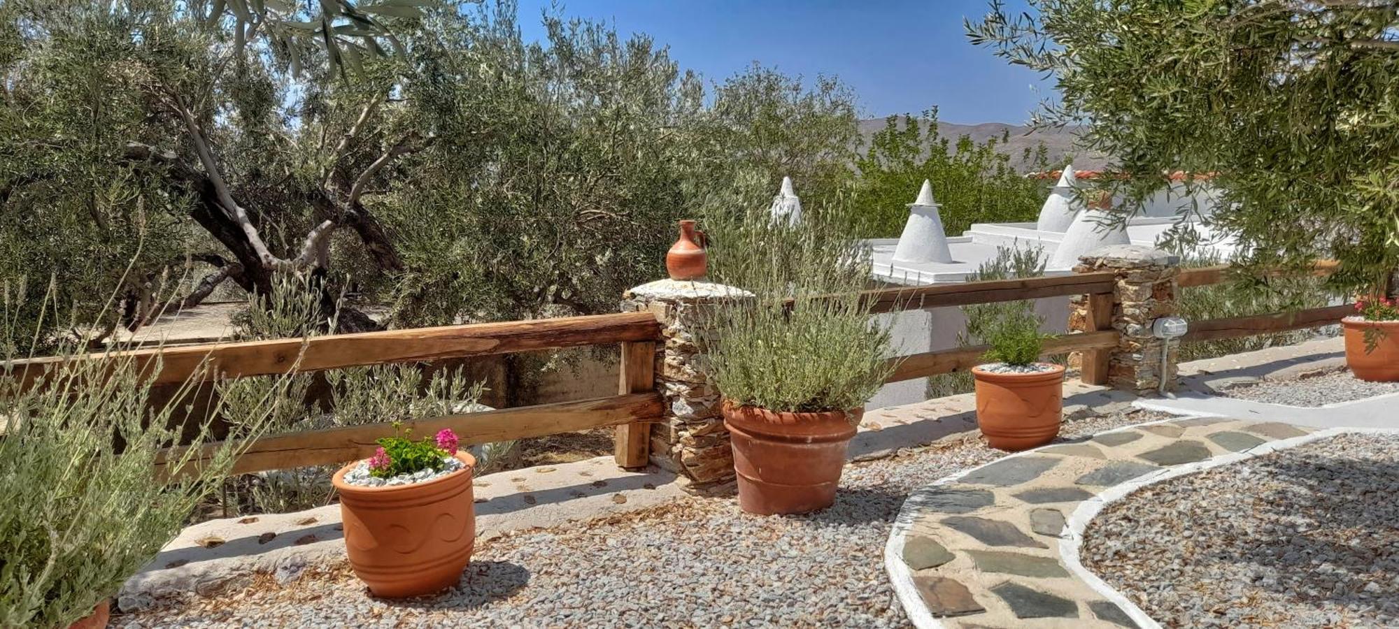 Aspra Chomata Villas Karystos  Esterno foto